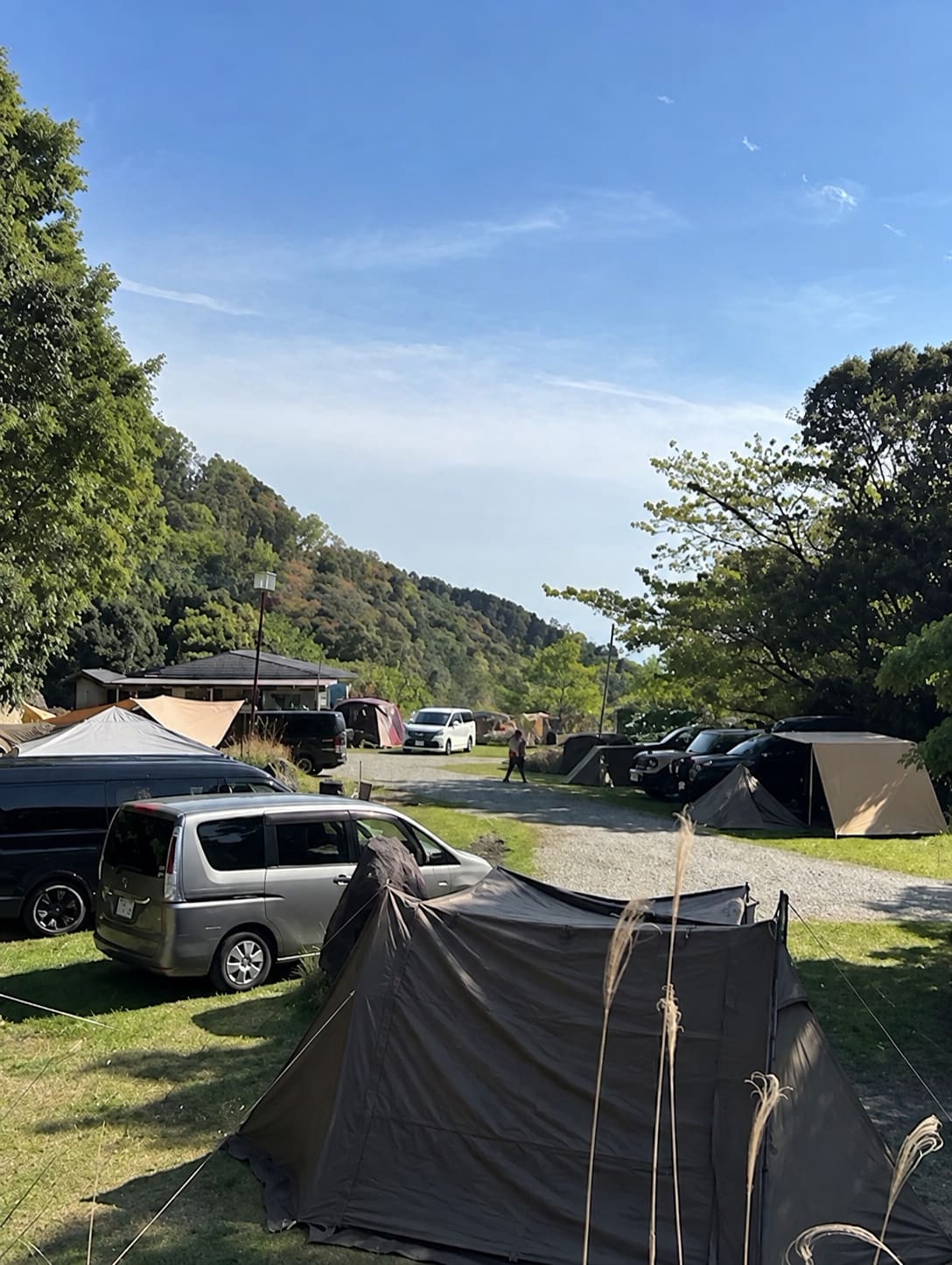 車を横付けできるキャンプサイト